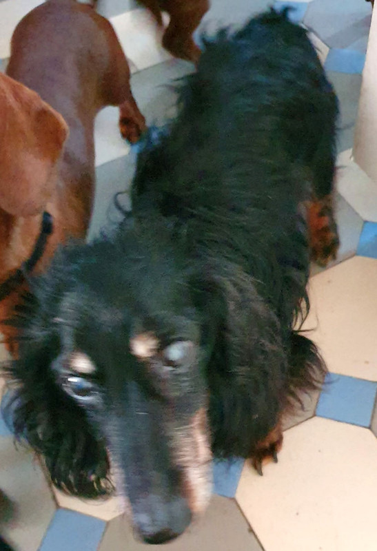 [Image: 20221001-173925.jpg]