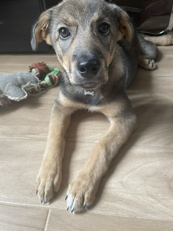 29F11541-4EA1-4083-9755-CF8BE82A26BE