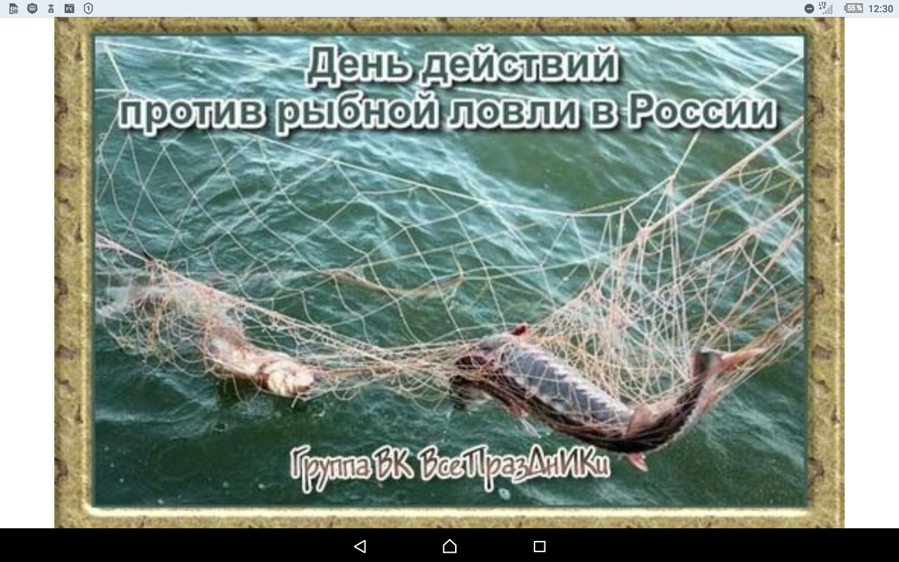 Screenshot_2022-07-10-12-30-24