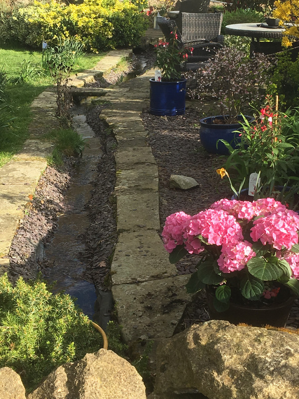 72303CE9-B947-4FFA-AA70-69331338428B