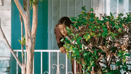 7-FE17607-B94-C-4907-BDC2-AB99631807-FF.gif