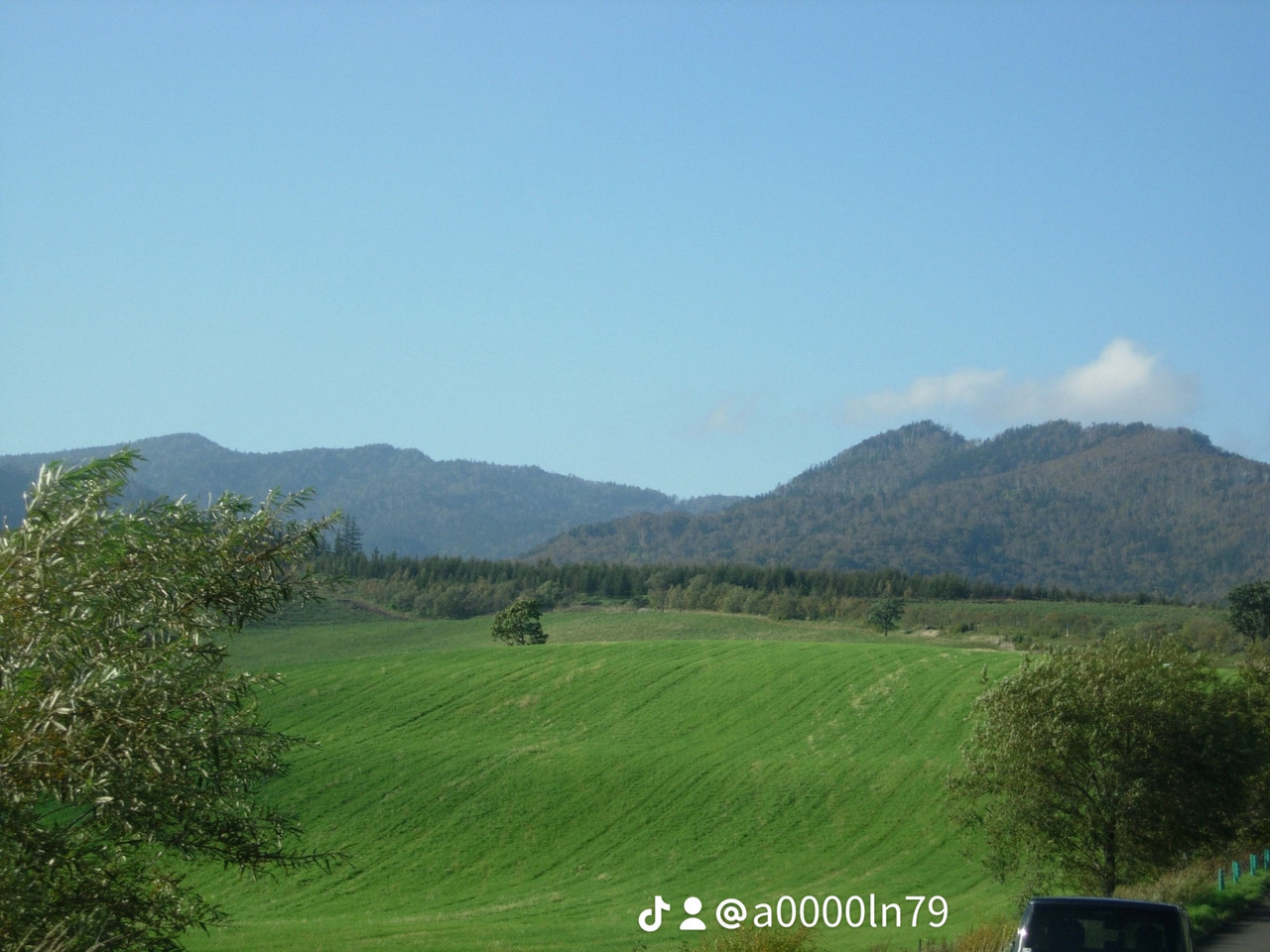 photo 43 2026 01 03 21 17 28