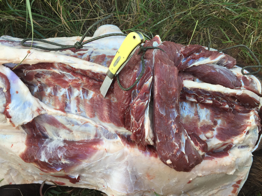 E2212A94-67EB-4C27-9994-3CD12F2571E7