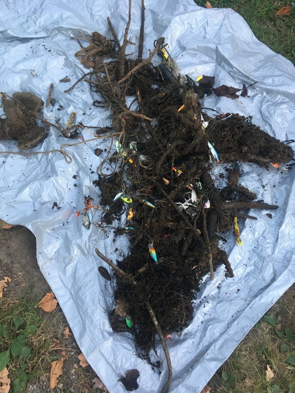 83CCCB5B-05B3-4126-AABB-2AD37148450A