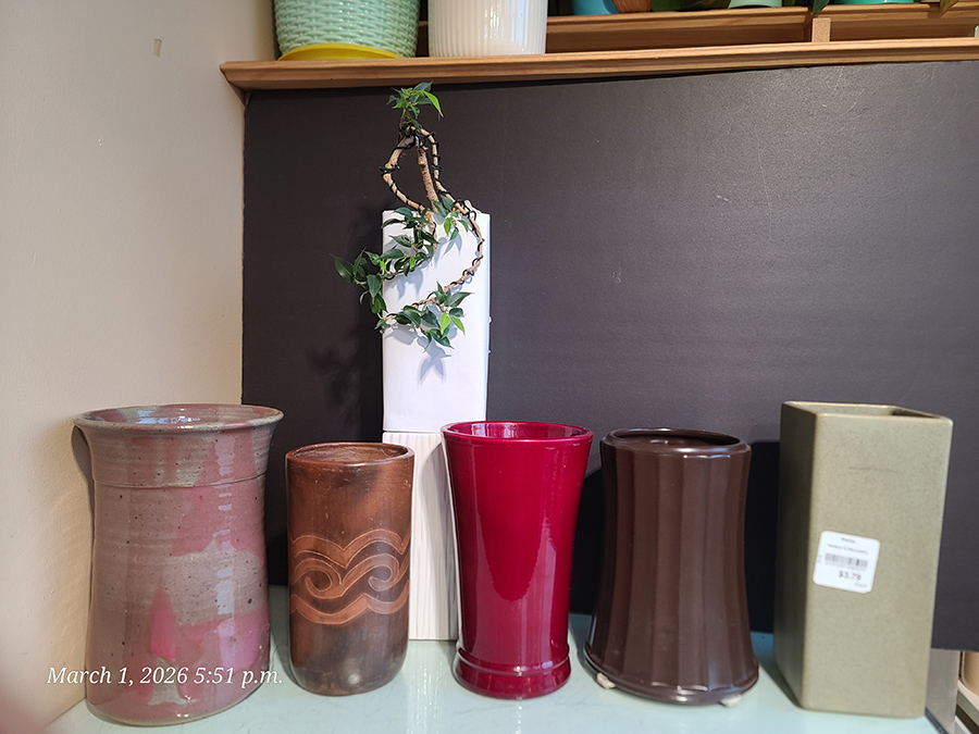 [Image: 20260301-175101.jpg]