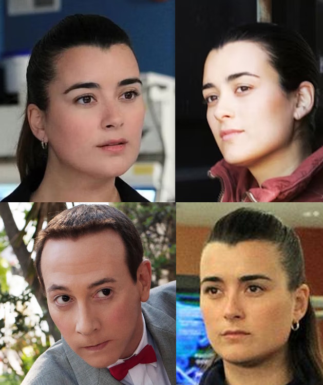 NCIS's Ziva David (Cote de Pablo) looks just like Pee Wee Herman