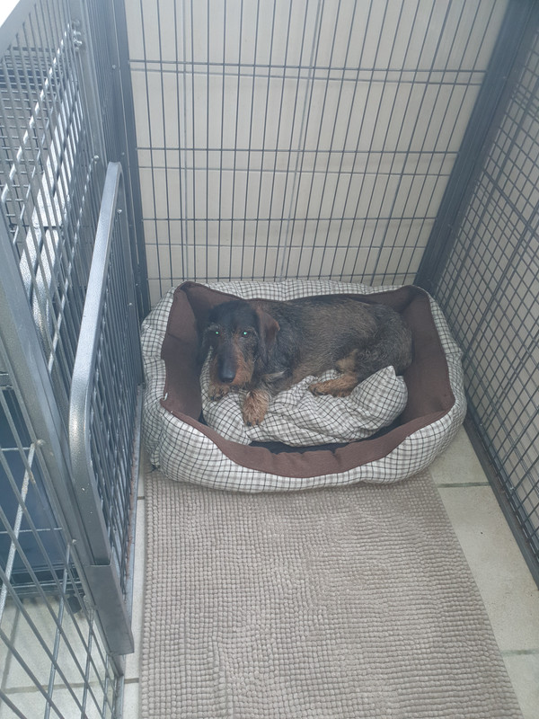 [Image: 20220128-124123.jpg]