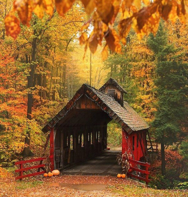 Screenshot_20230211_165822_Chrome