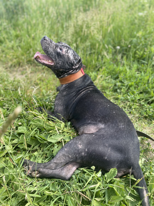 9A989409-2B87-49C1-917A-96BC5972B5F2