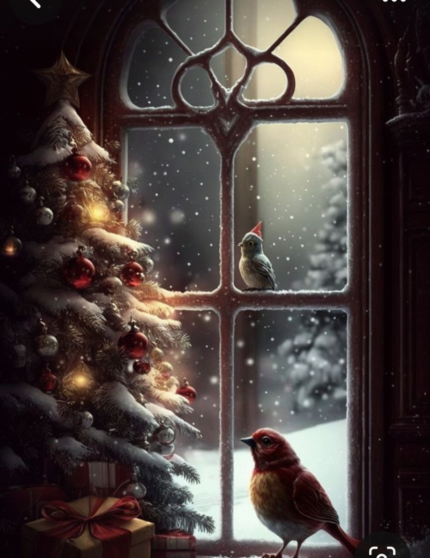 Screenshot_20231111_213906_Pinterest