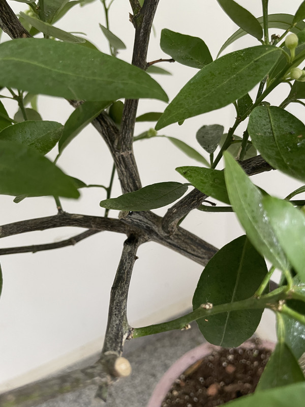 D6FC22EF-70AC-4D64-8655-E968E41024A3