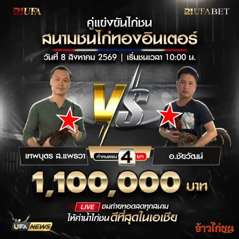 โปรแกรมไก่ชน สนามชนไก่ทองอินเตอร์ 8 สิงหาคม 2569 เทพบุตร ส.แพรวา พบ อ.ชัยวัฒน์