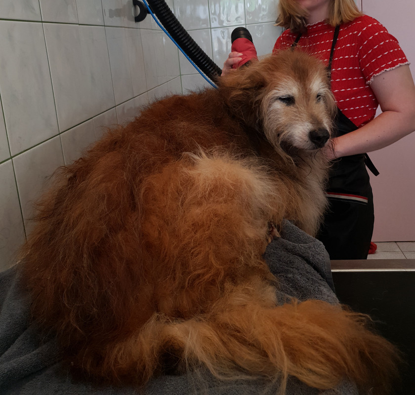 [Image: 20220512-162819.jpg]