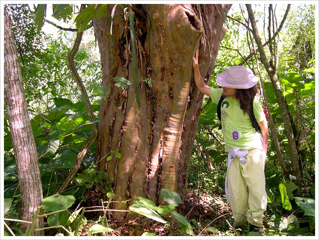 11_i52_tucuman_escaba_yungas