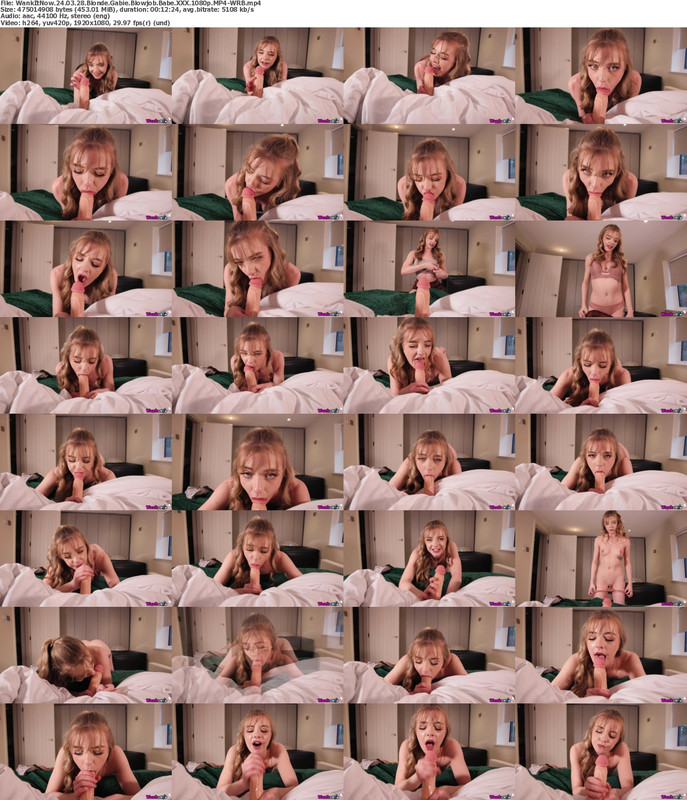 29032024131007screenshot