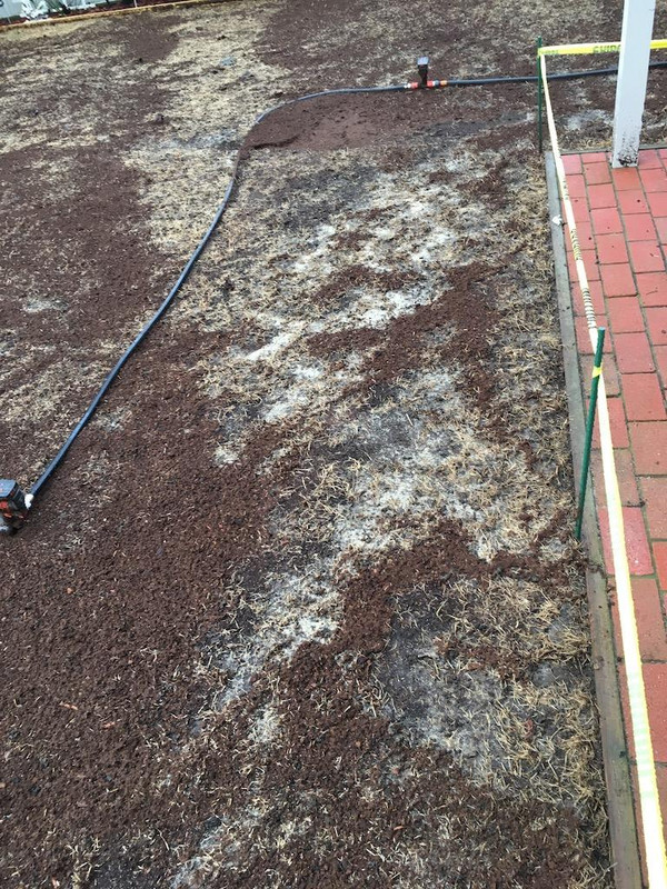 2017_Backyard_Reno_Day_3_Washout_2_small