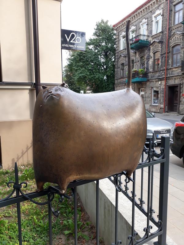 20190908-153146.jpg