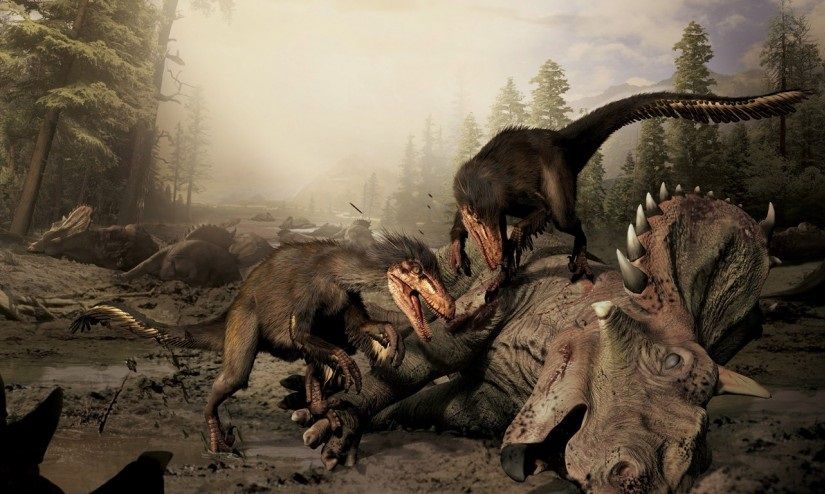 6adbab3b92e3511936703d330cccc862