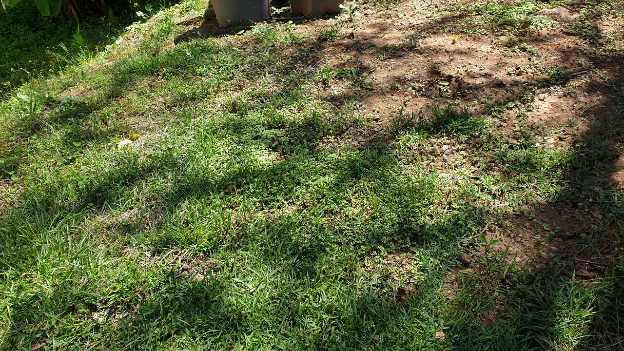 [Image: 20210924-135844.jpg]