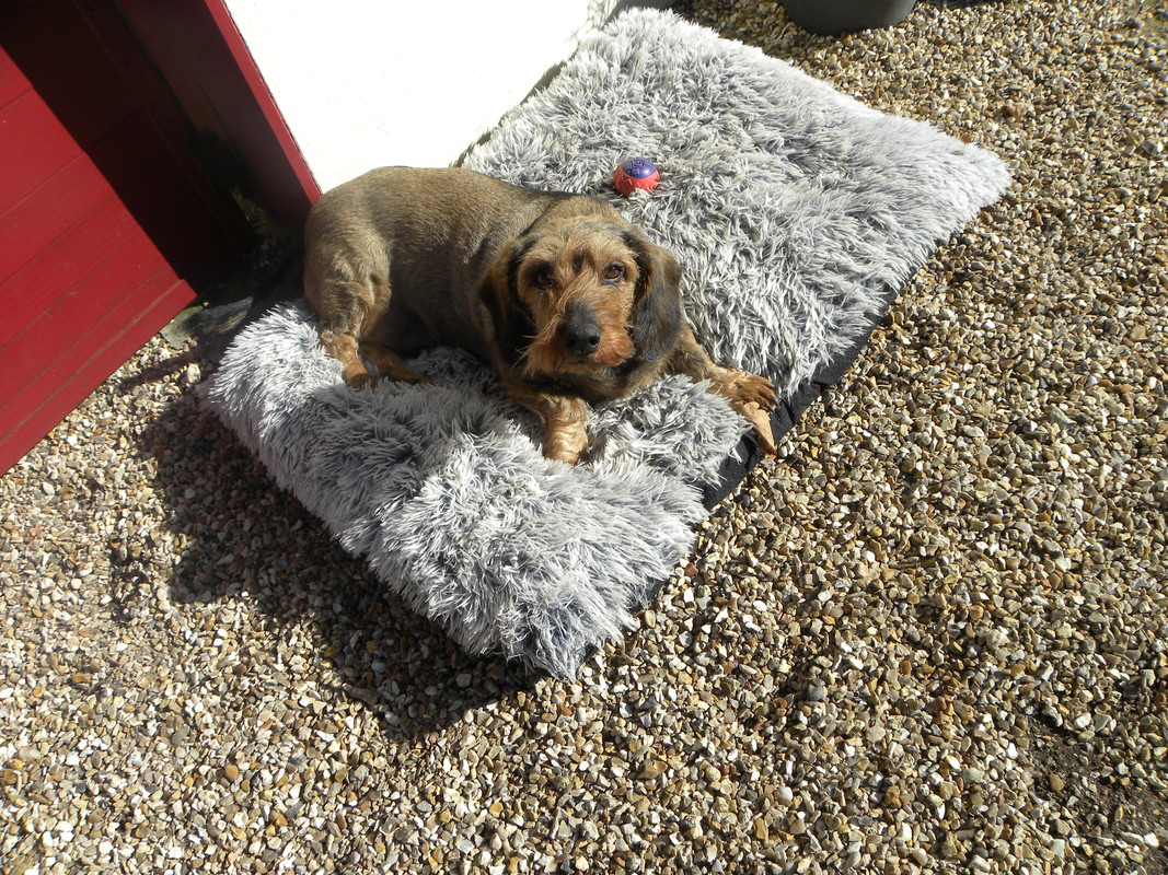 [Image: DSCN9734.jpg]