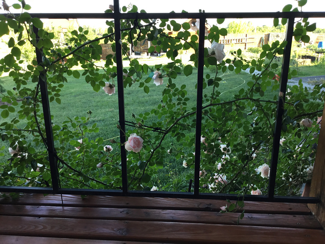 A1BB71E0-4262-47FB-8C97-D79540DCE3FD