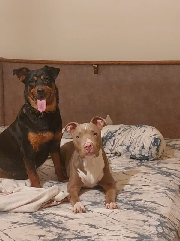 WhatsApp Image 2022-08-19 at 11.35.16 (3)