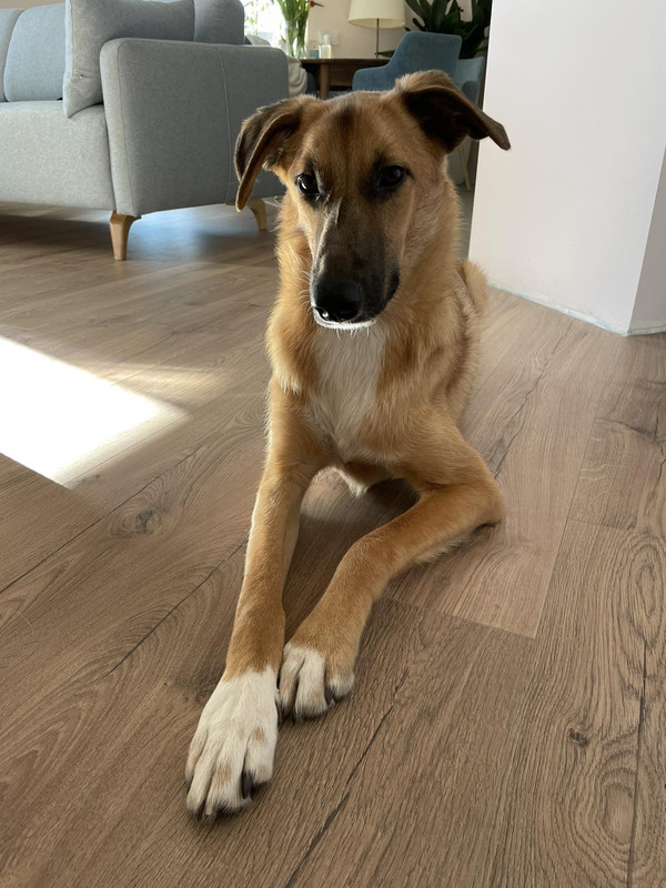 5047F721-F8DF-4959-9C27-A5489B8E0CBE