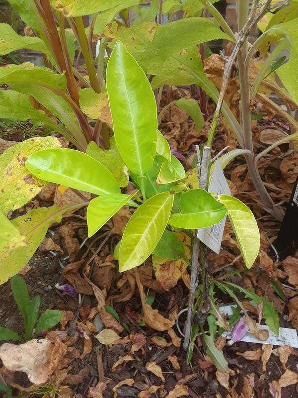 20190618_123523