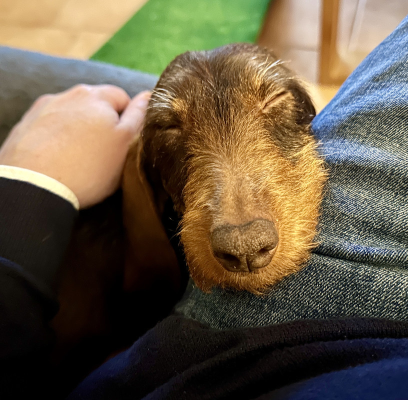 [Image: IMG-4893.jpg]