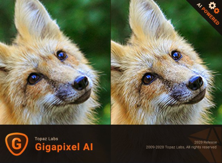 Topaz Gigapixel AI 5.5.1 (x64)