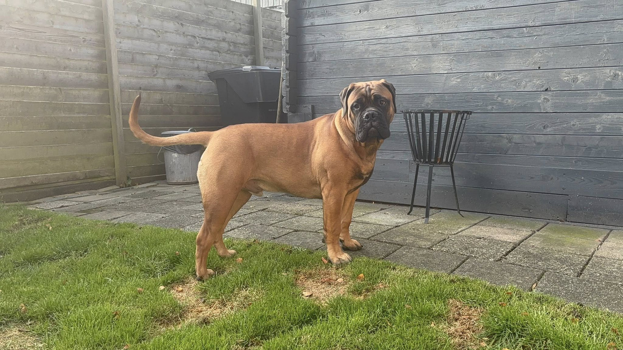 556841590_773916245633747_8715161084295161984_n