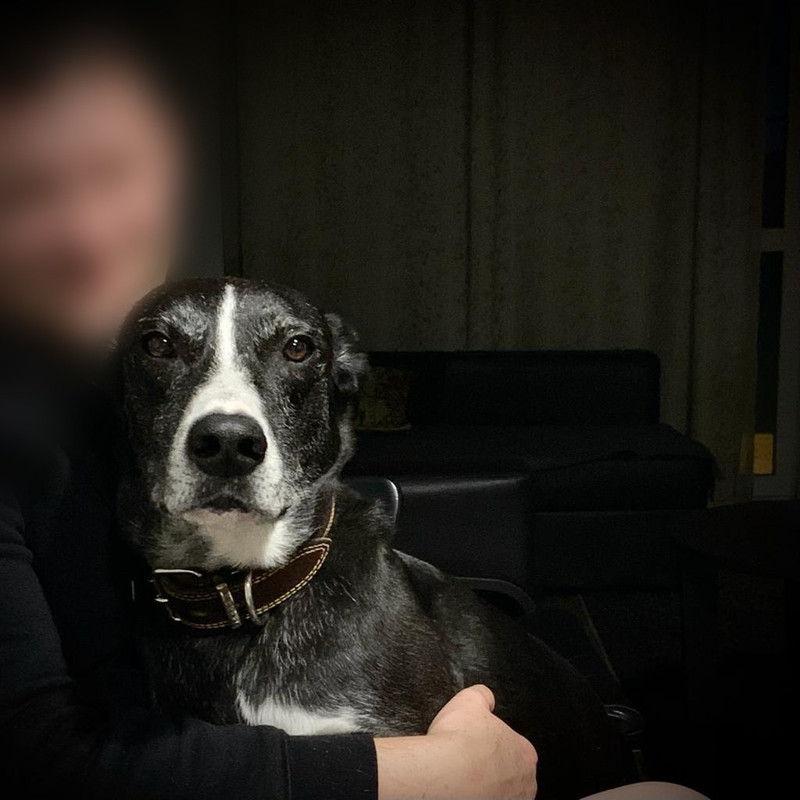 008D39DC-7138-4698-A697-A769BD28ECA3