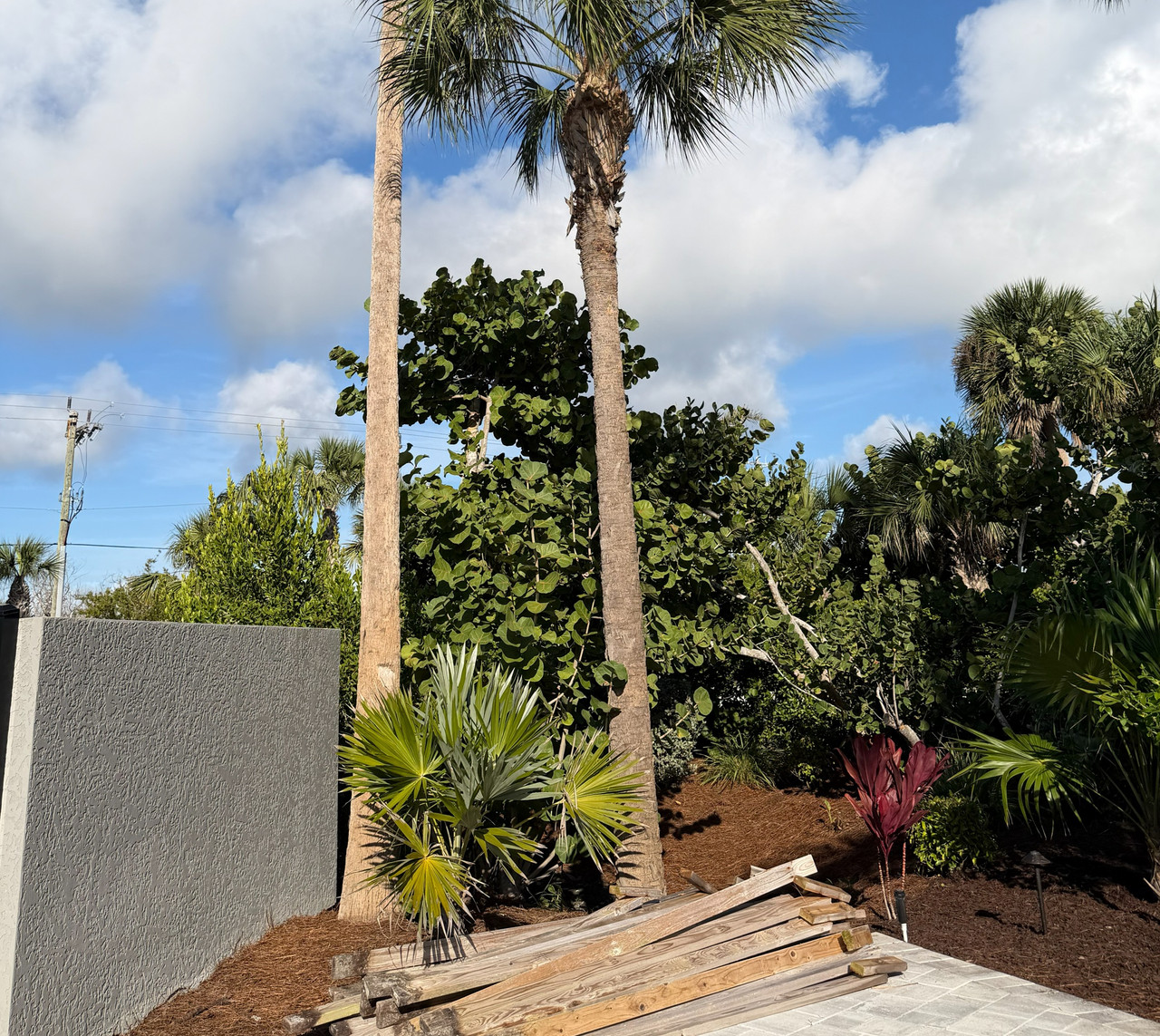 [Image: Sanibel-Island3.jpg]