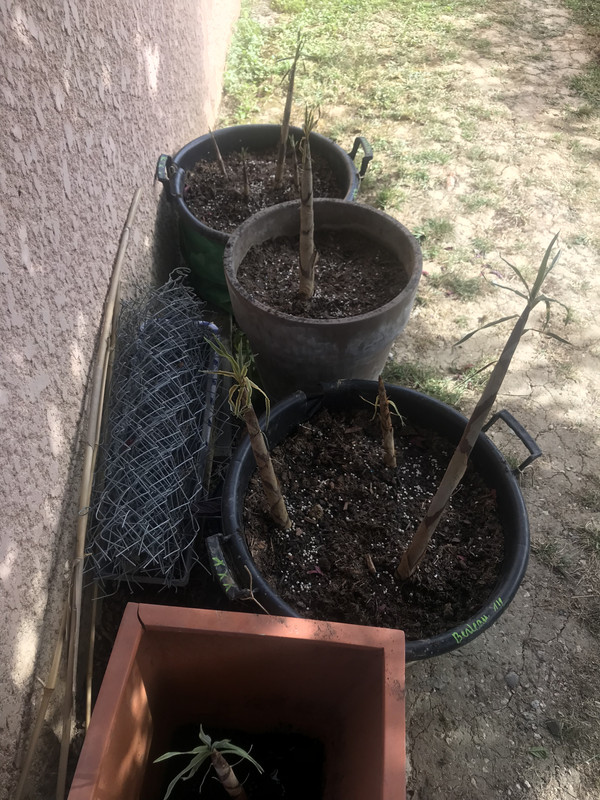 7F3667DB-C3EA-4017-AF71-C4047CFDAEC2