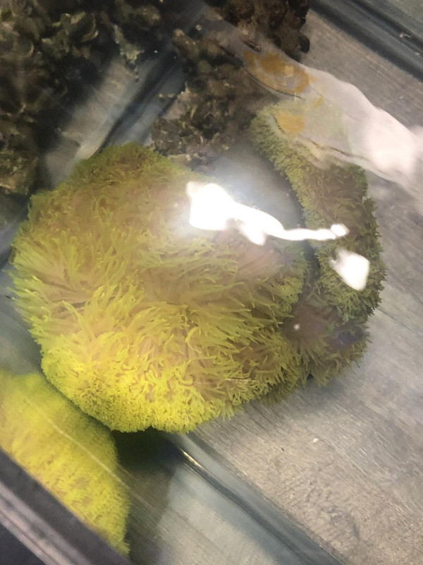 D383313C-A006-4098-9D86-D5E2BD600310