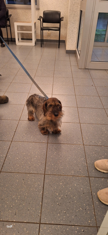 [Image: 20250117-175039.jpg]