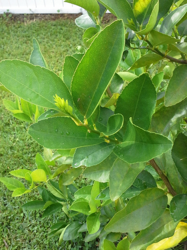20140513_173418