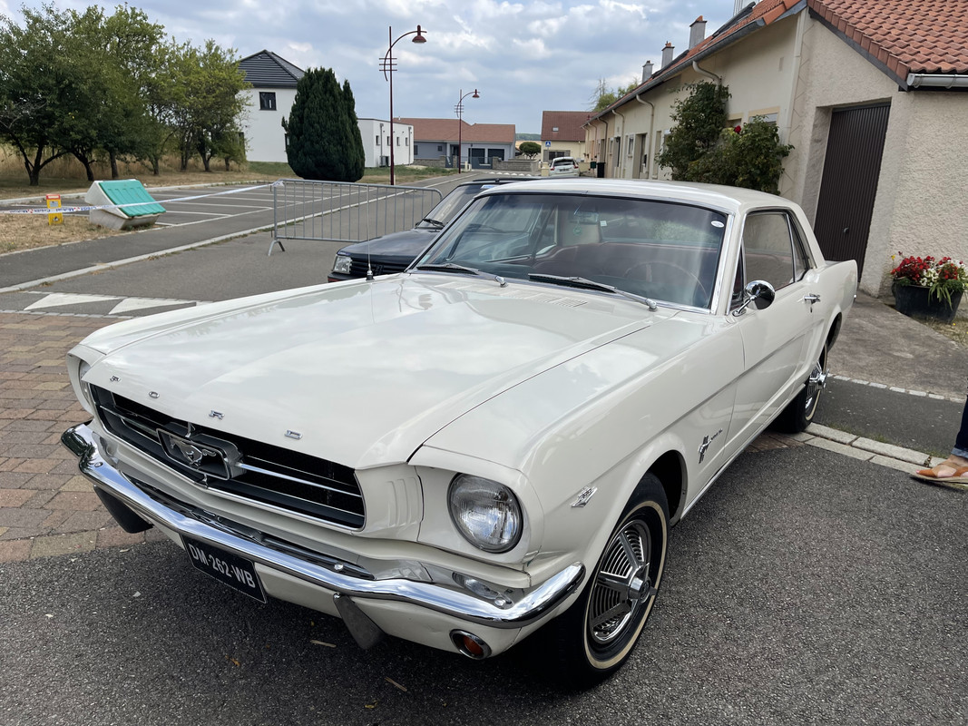 966FA46A-5C60-4F96-B3F4-FD8B776E0593