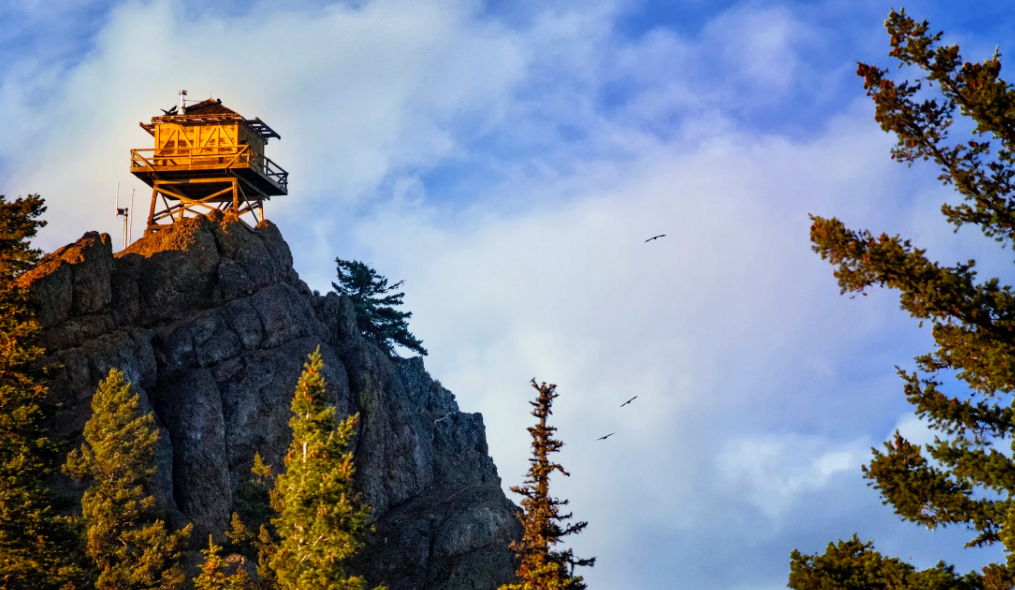 Fire Lookout