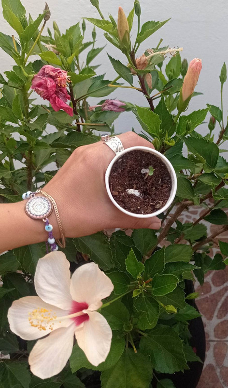 316855540_2077934535929796_6432581577969118995_n