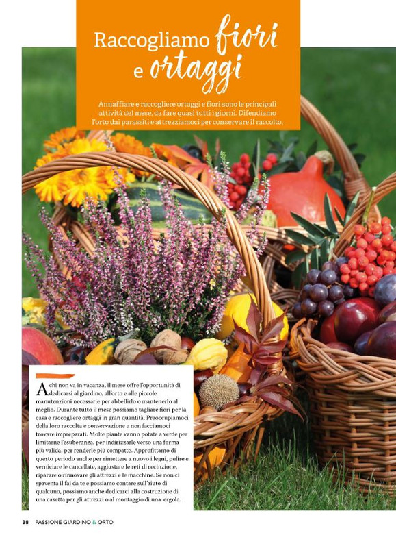 Pass Giar e Orto Ago 2025 (1)