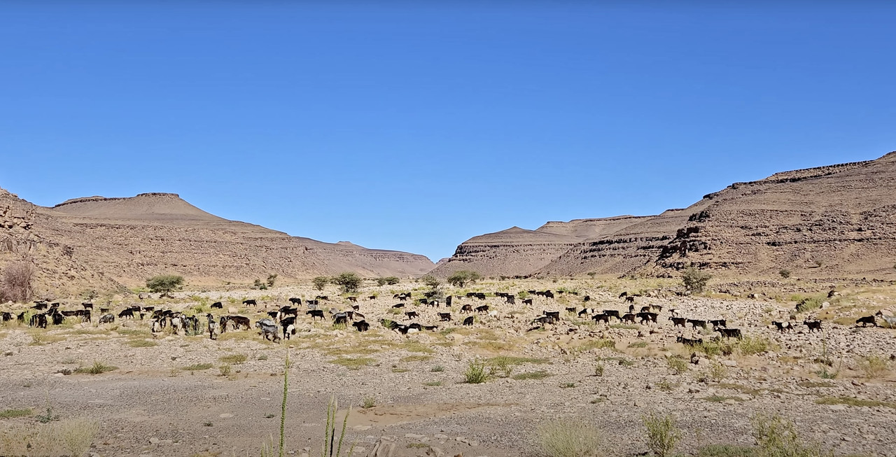 El palmeral de los Katawa : Tagounite - El Valle del Drâa, la gran arteria del sur de Marruecos (4)