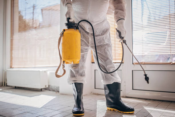 pest control Tampa