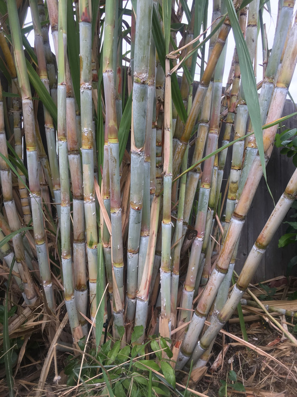 ABBCDFA7-47DE-4F53-A916-FC9E984D5115