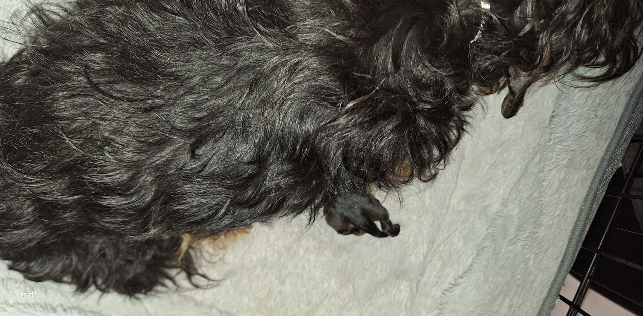 [Image: 20250419-112113.jpg]