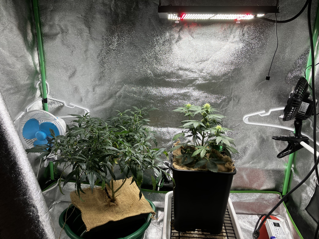 F296D630-D368-48B0-95DC-0E52AA7AAB92