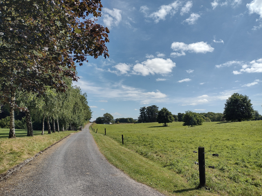 IMG_20220817_143901574_HDR