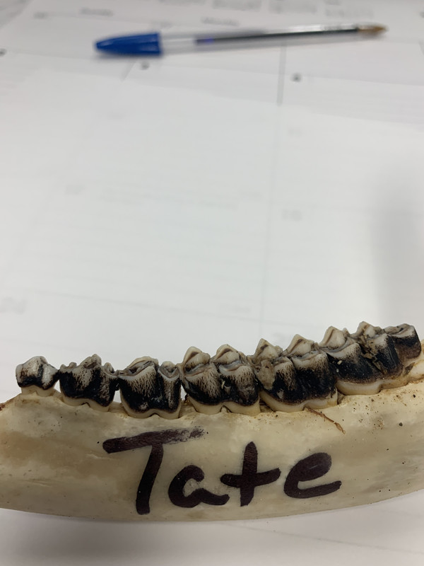 2D53EBCB-F436-4066-90C7-A248ABFD8593