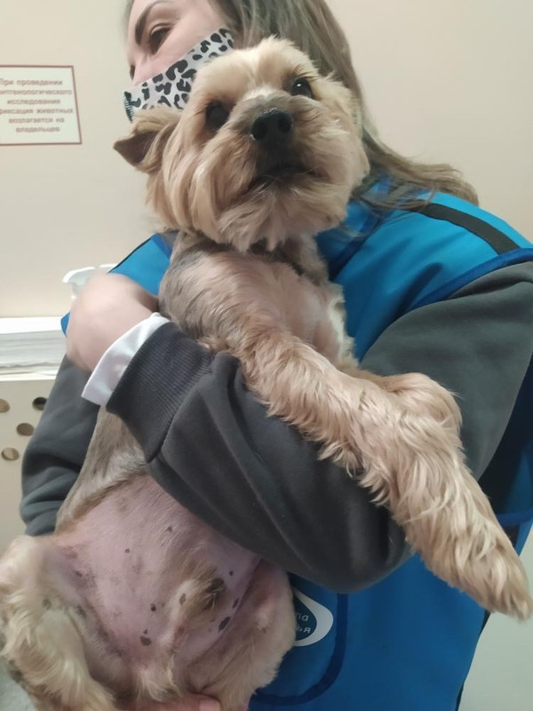 7D98EE8F-F1E2-4B8D-B759-BE5CD7568798