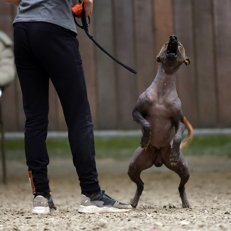19D40B04-7E96-4B4A-BB8E-072592DF199A